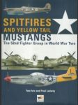 Spitfires and yellow tail mustangs - náhled