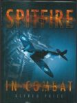 Spitfire in combat - náhled