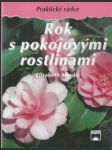 Rok s pokojovými rostlinami - náhled