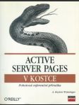 Active server pages v kostce - náhled