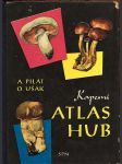 Kapesní atlas hub - náhled
