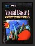 Visual basic 4 profesionální řešení - náhled