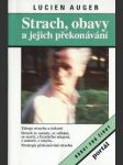 Strach, obavy a jejich překonávání - náhled