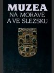 Muzea na moravě a ve slezsku - náhled