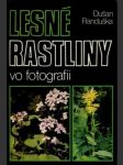 Lesné rastliny vo fotografii - náhled