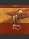Pieter bruegel - náhled