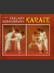 Základy sebaobrany karate  - náhled