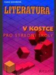 Literatura v kostce - náhled