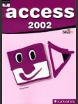 Access 2002 - náhled