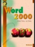 Word 2000 - náhled
