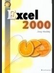 Excel 2000 - náhled