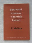 Spalování a nánosy v parních kotlích - náhled