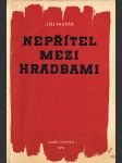 Nepřítel mezi hradbami - náhled