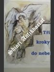 Tři kroky do nebe - bahounek tomáš jiří - náhled