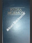 Kniha mormon - náhled