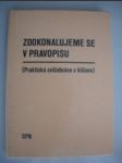 Zdokonalujeme se v pravopisu ( praktická cvičebnice s klíčem k samostatné práci ) - chudková jiřina - náhled