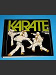 Karate - náhled