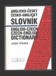 Anglicko-český,česko-anglický slovník - náhled