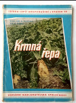 Krmná řepa - náhled