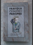 Pravidla českého pravopisu - náhled