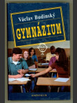 Gymnázium - humoristický román - náhled