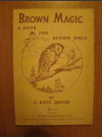 Brown Magic A Book for Brown Owls - náhled