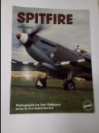 Spitfire RAF Fighter - náhled