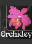 Orchidey - náhled