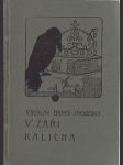 V záři kalicha - historické povídky - náhled