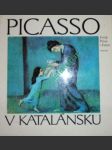 Picasso v katalánsku - palau i fabre josep - náhled