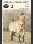 Koně osli a zebry - náhled