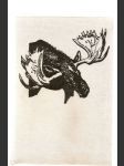 Lovci  kožešin-  dobrodružný  román  ze  života  kanadských  trapperů  a  farmářů - náhled