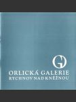 Orlická Galerie Rychnov nad Kněžnou - náhled