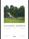 Antonín Kašpar (Sochy / Sculptures - 1994 - Léto / Summer) - náhled