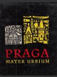 Praga Mater Urbium - náhled