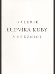 Galerie Ludvíka Kuby v Březnici - náhled