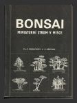 Bonsai, miniaturní strom v misce - náhled