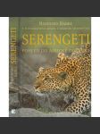 Serengeti - Pohled do africké divočiny - náhled