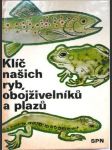 Klíč našich ryb, obojživelníků a plazů - pomocná kniha k učebnicím zoologie všeobec. vzdělávacích, stř., odb. a vys. škol - náhled