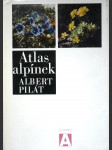 Atlas alpínek - náhled