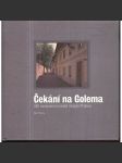 Čekání na Golema – 330 zastavení na cestě mizející Prahou - náhled