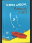 Pavouk v síti - náhled