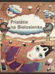 Pristátie na Bielosienke - náhled