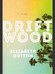 Drift Wood (A Novel) - náhled