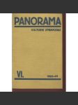 Panorama, roč. VI. (1928-1929) -  (Zpravodaj Družstevní práce) - náhled