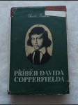 Příběh Davida Copperfielda. Díl 2 - náhled