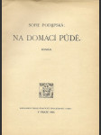 Na domácí půdě - román - náhled