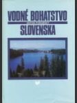 Vodné bohatstvo Slovenska - náhled