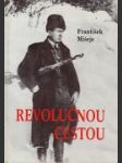 Revolučnou cestou - náhled