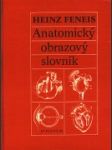 Anatomický obrazový slovník - náhled